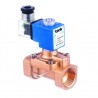 PV 100 Serisi Patlaç Solenoid Valf (Patlaç)